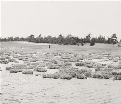 Фотография DEPO